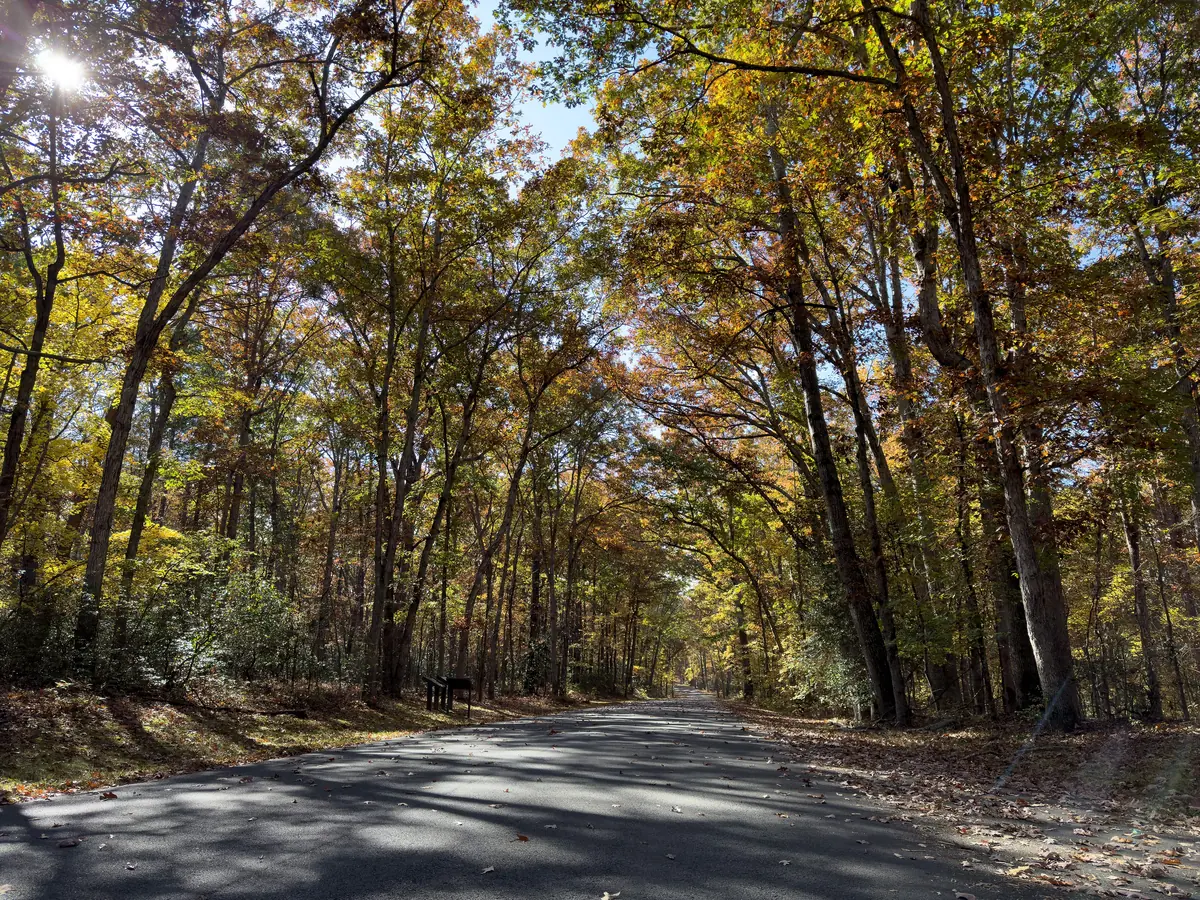 Stuart Drive in fall, on the Chancellorsville battlefield