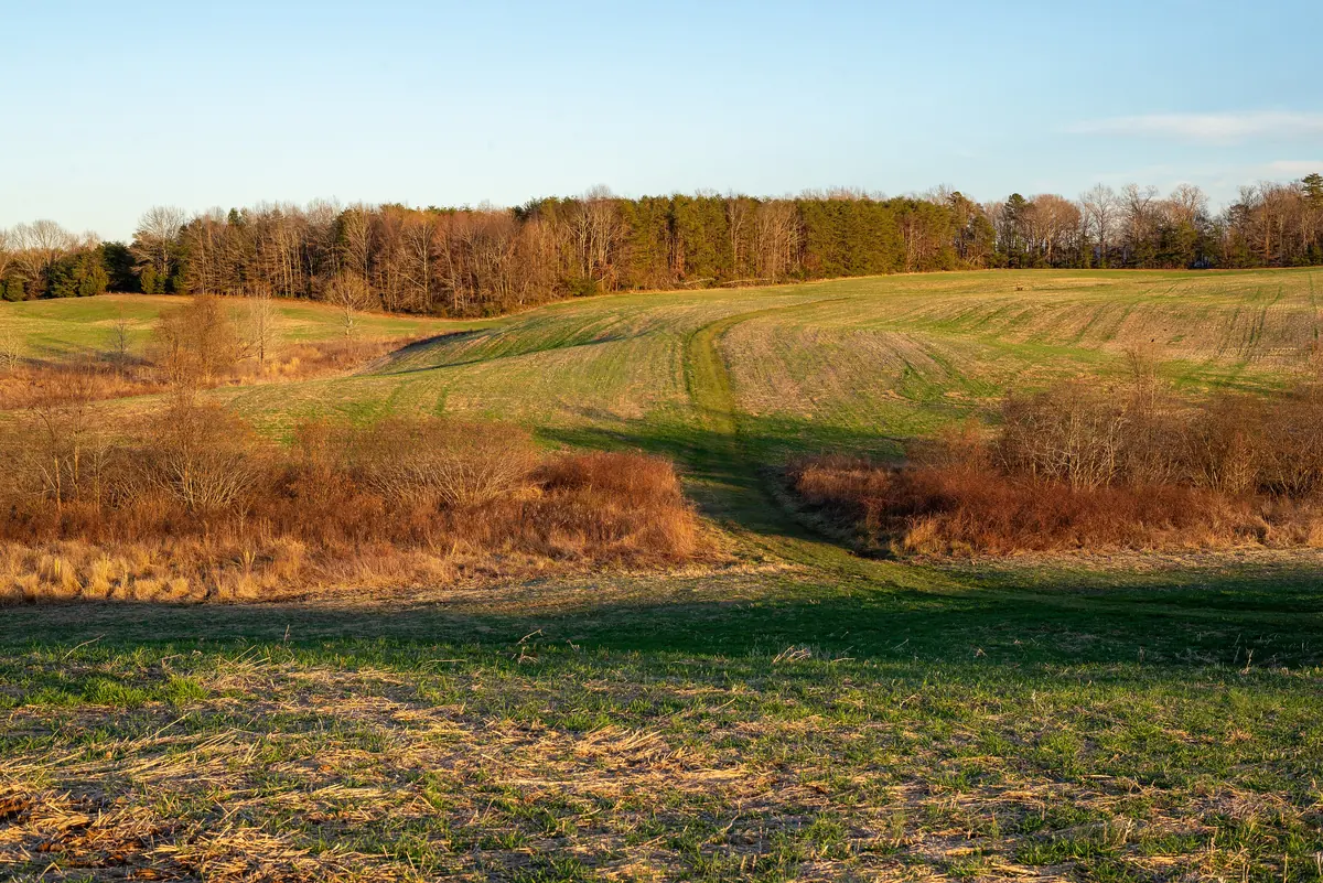 The McLaws–Miles Trail in February on the Fredericksburg battlefield
