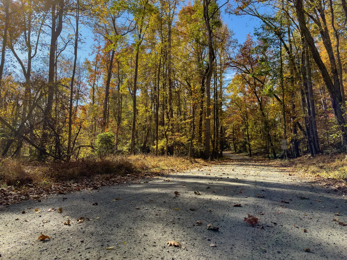Jackson Trail East in fall — the flank-march route at Chancellorsville